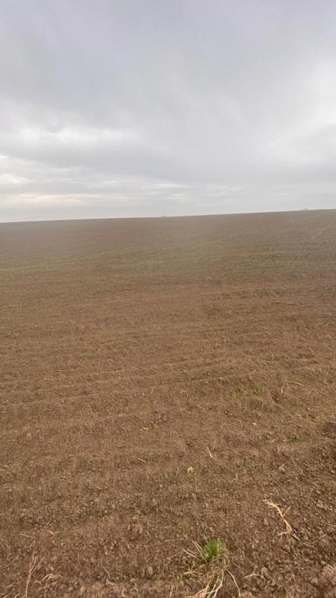 VILLALONGA · Patagones — foto 12