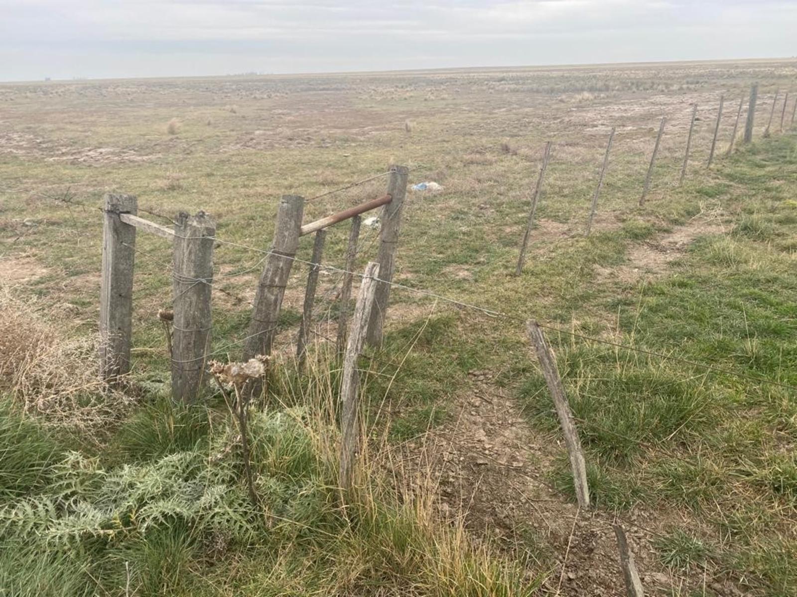 VILLALONGA · Patagones — foto 14