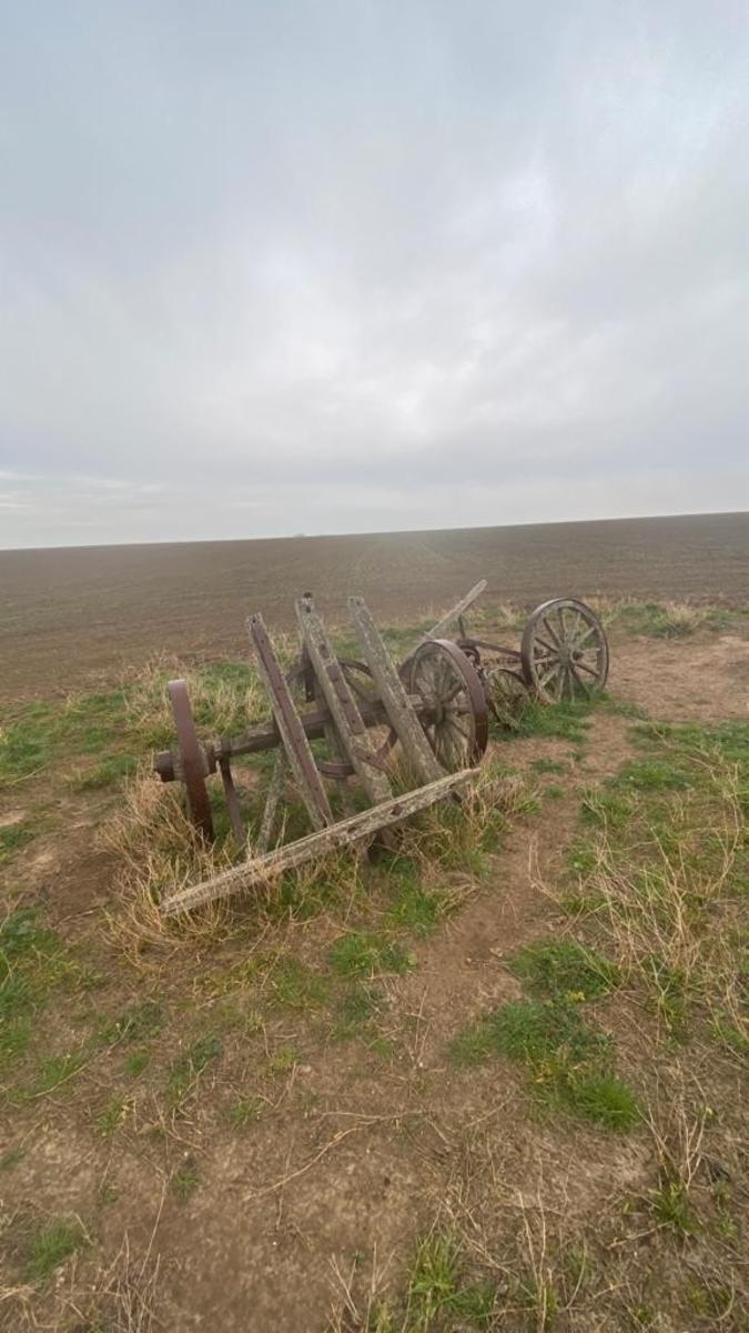 VILLALONGA · Patagones — foto 15
