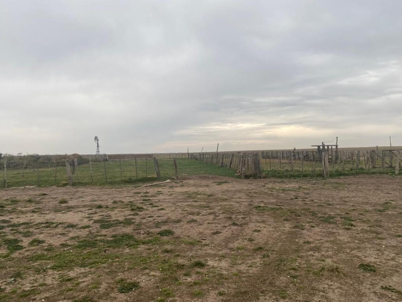VILLALONGA · Patagones — foto 16