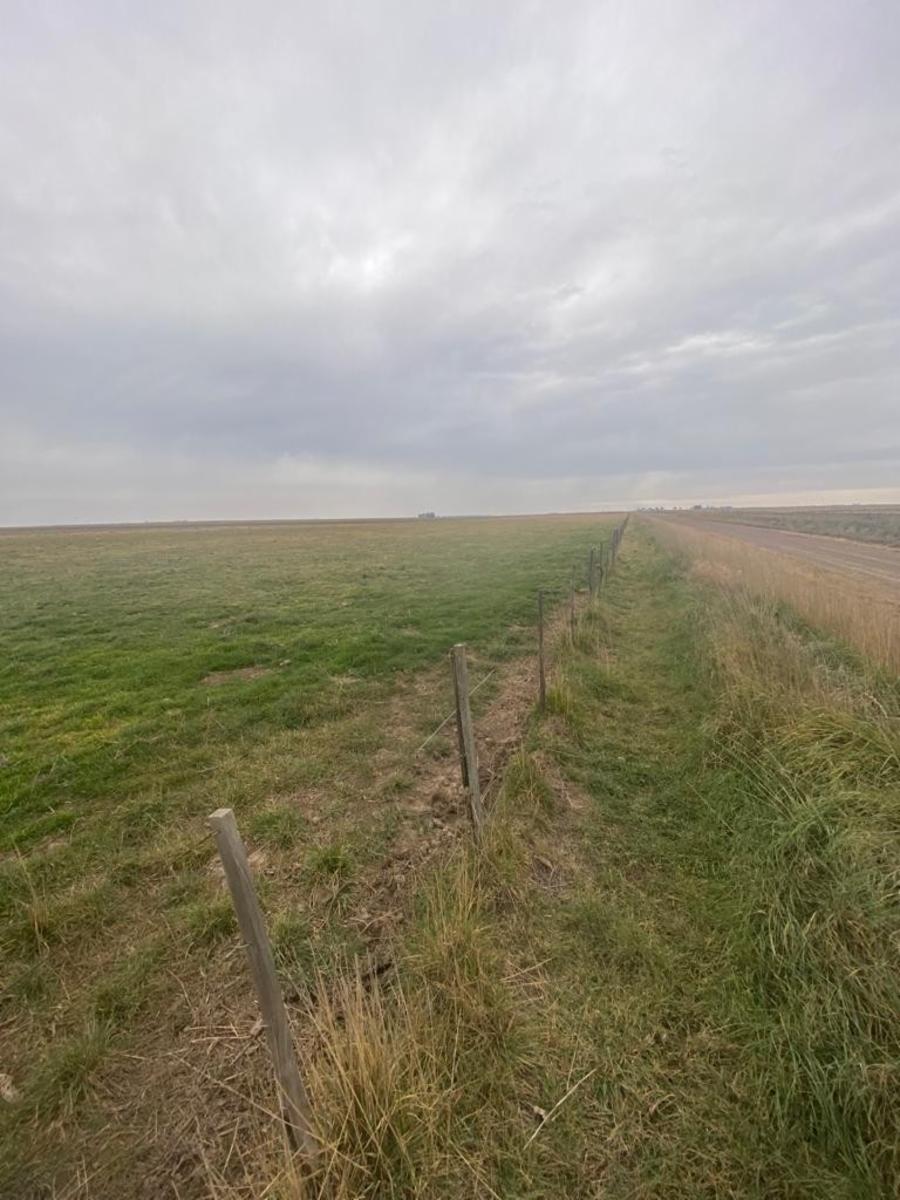 VILLALONGA · Patagones — foto 17