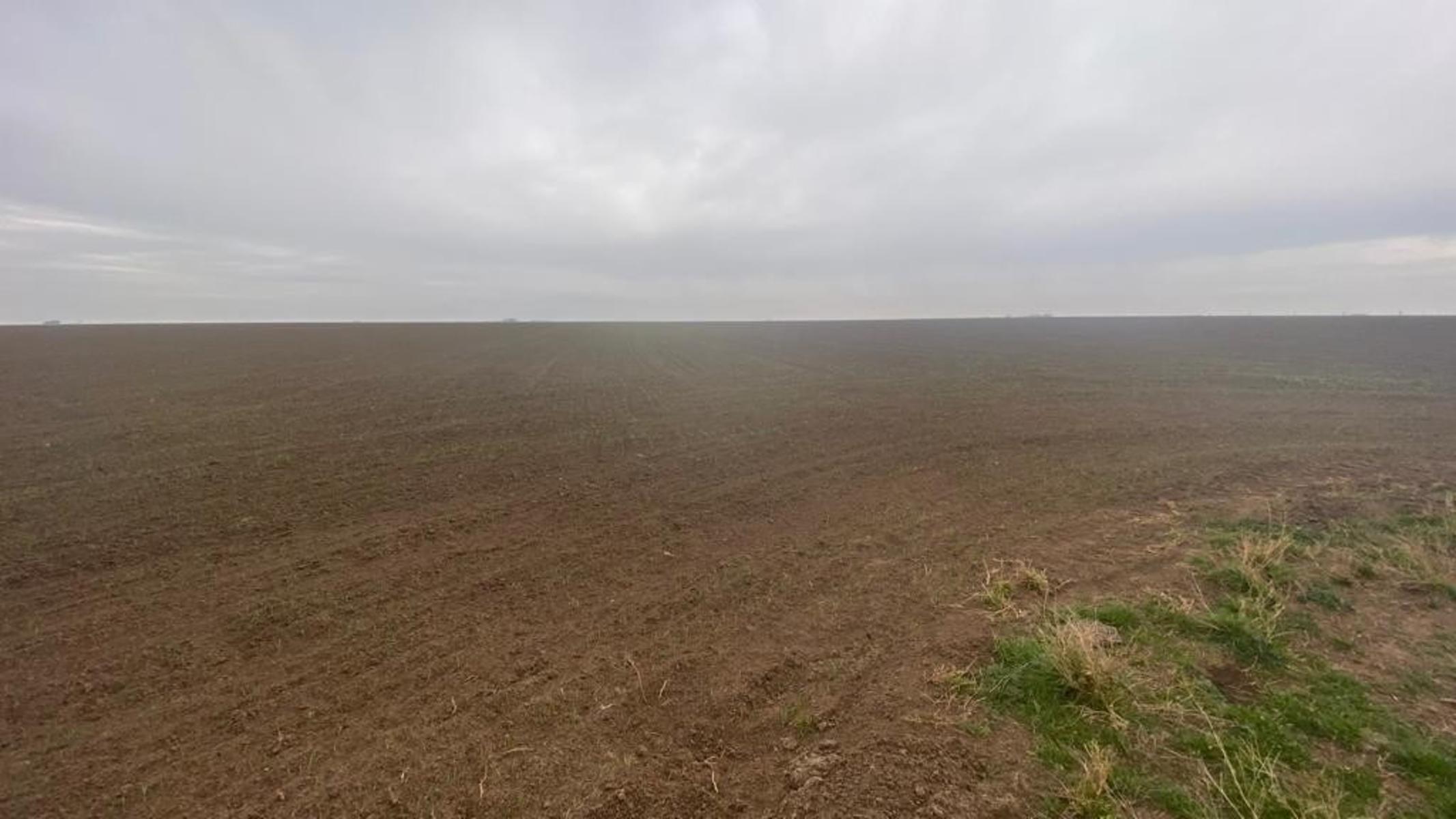 VILLALONGA · Patagones — foto 18