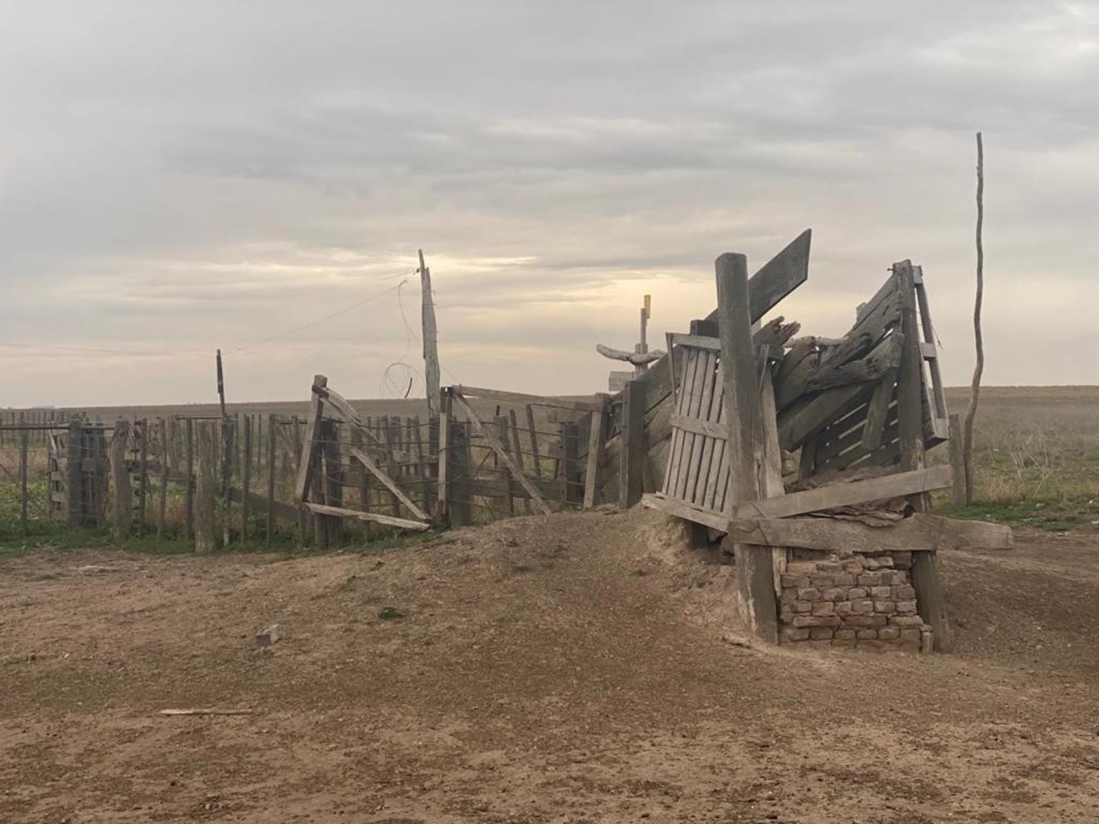 VILLALONGA · Patagones — foto 19
