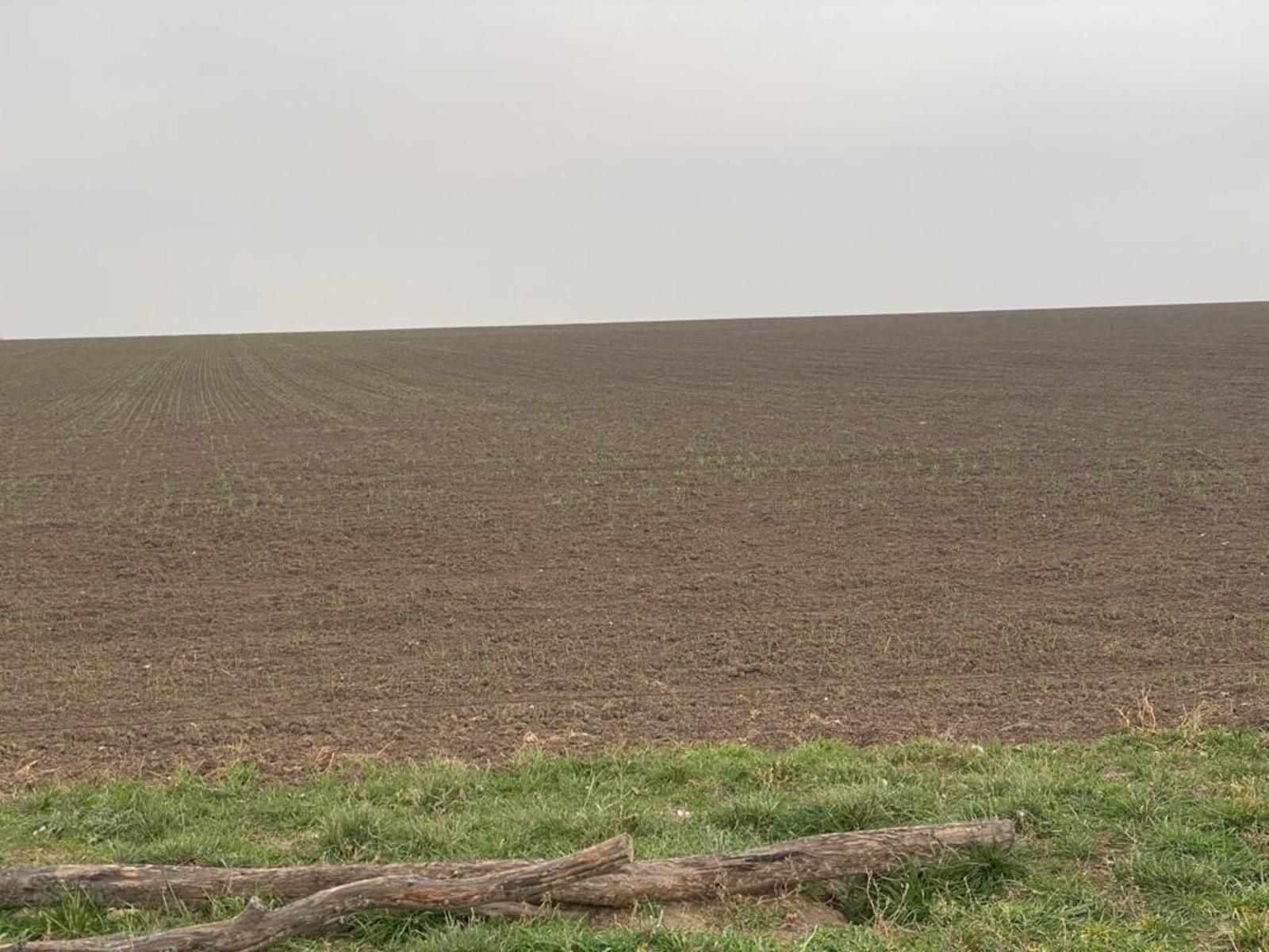 VILLALONGA · Patagones — foto 20