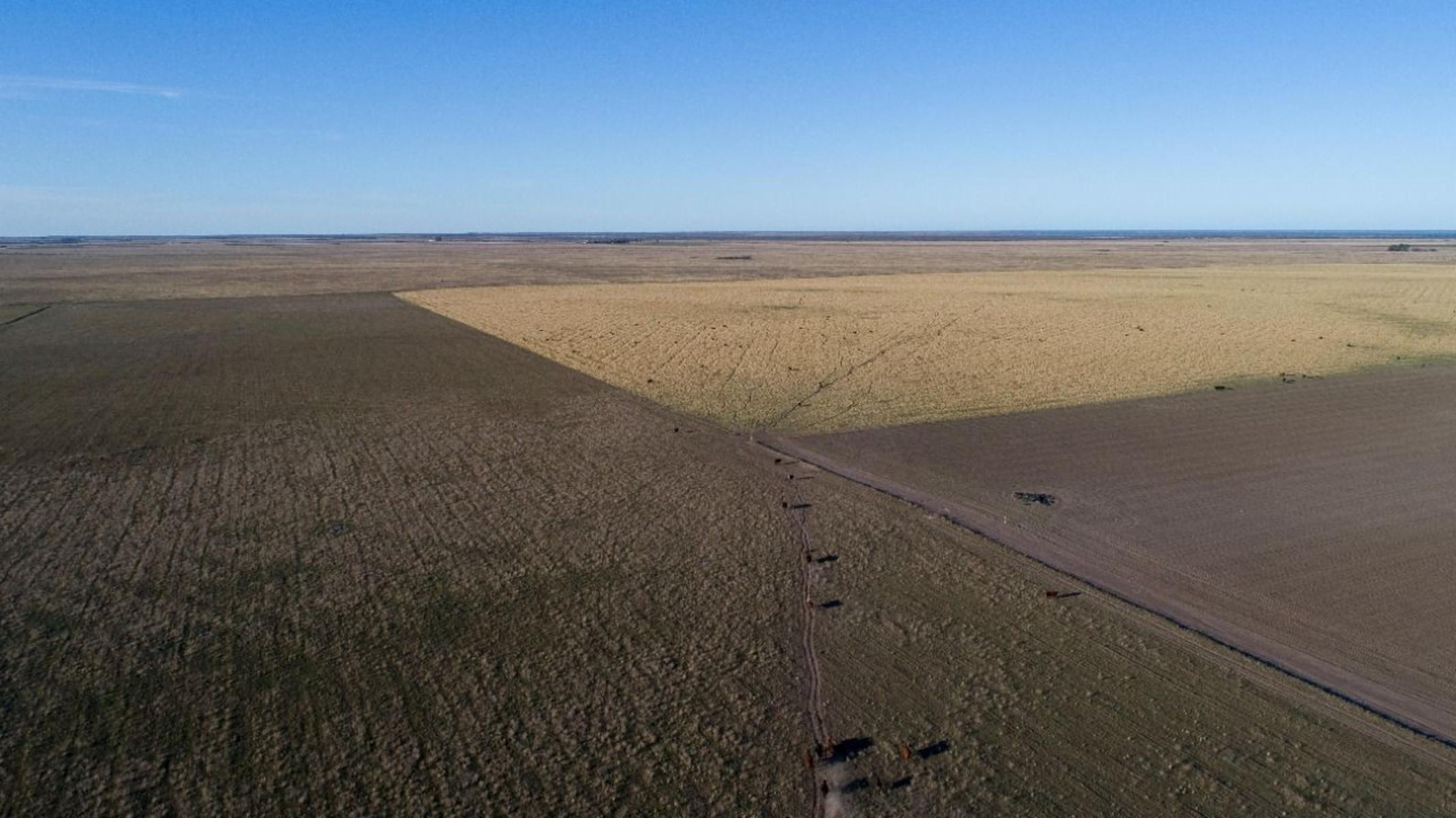 VILLALONGA · Patagones — foto 3