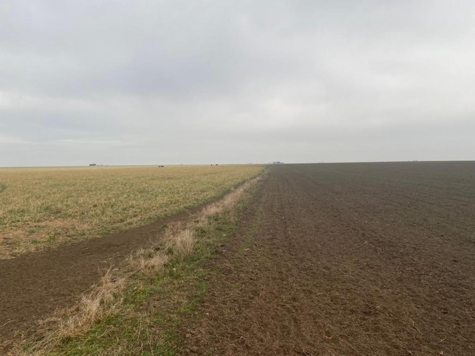 VILLALONGA · Patagones — foto 22