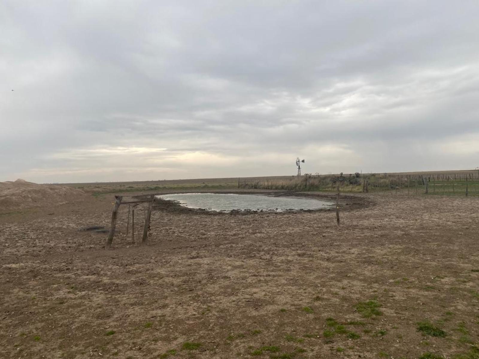 VILLALONGA · Patagones — foto 23