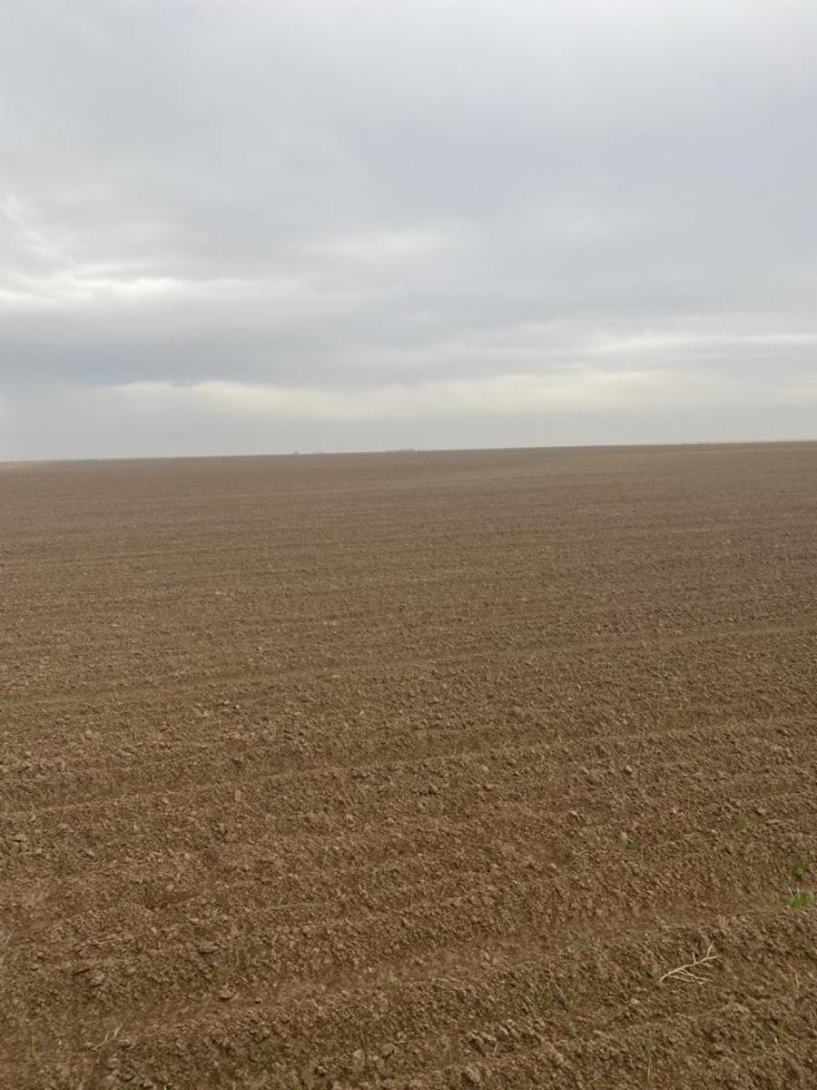 VILLALONGA · Patagones — foto 26