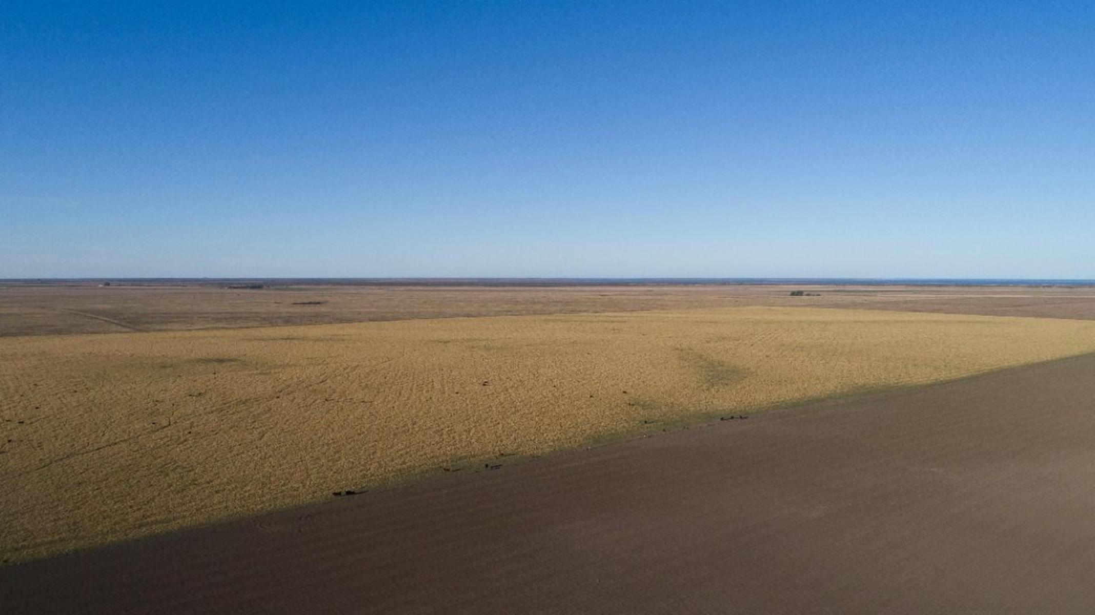 VILLALONGA · Patagones — foto 4