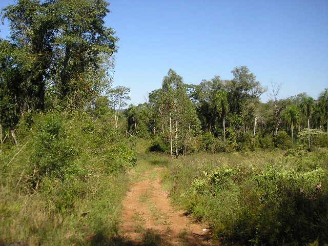 VENDEMOS CAMPO MIXTO