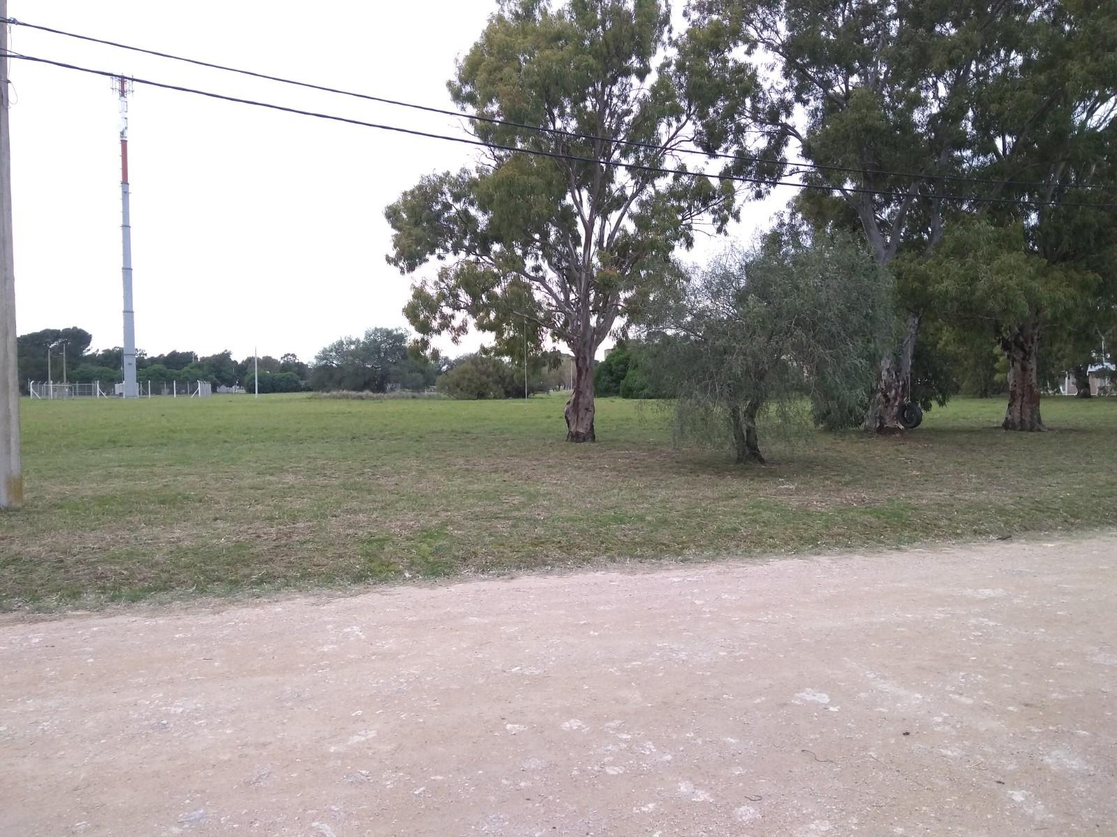 EL PERDIDO · Coronel Dorrego — foto 11