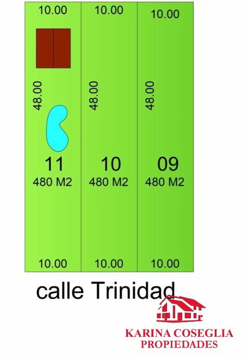 Trinidad · Malvinas Argentinas — foto 4