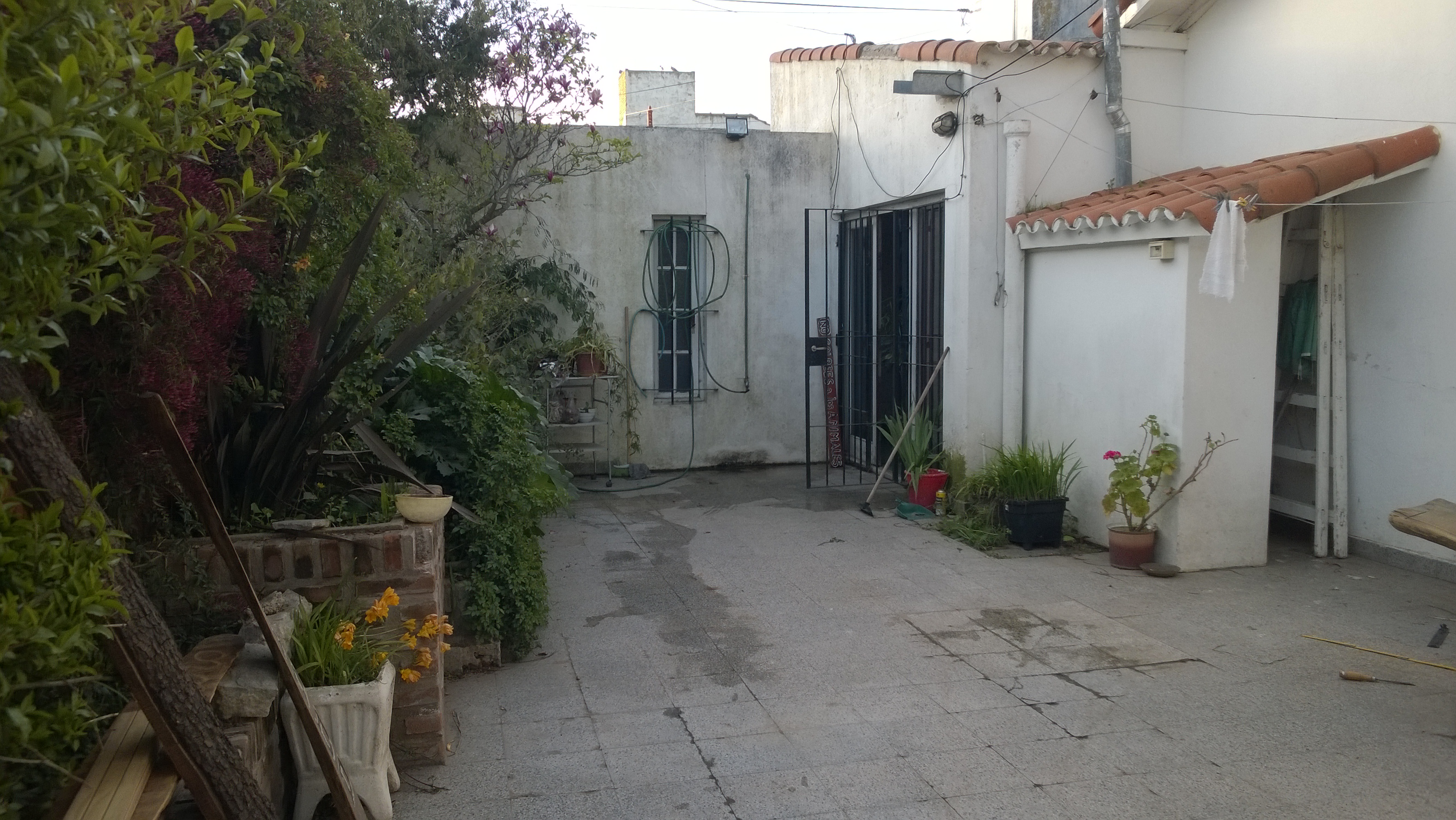 13 nº 348 · Balcarce — foto 14