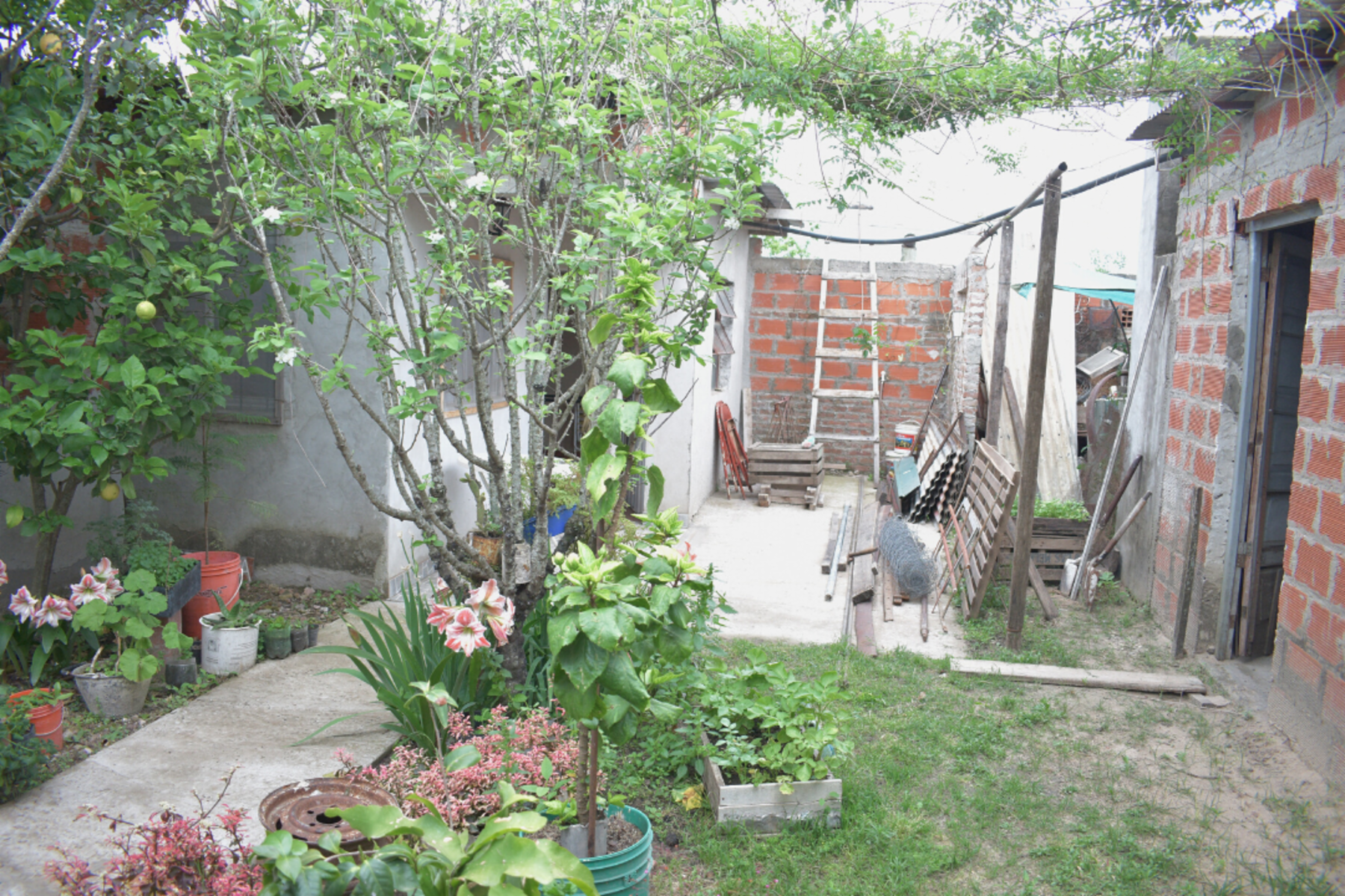 Av. Dr. Raúl Uranga 200 · San Salvador — foto 9