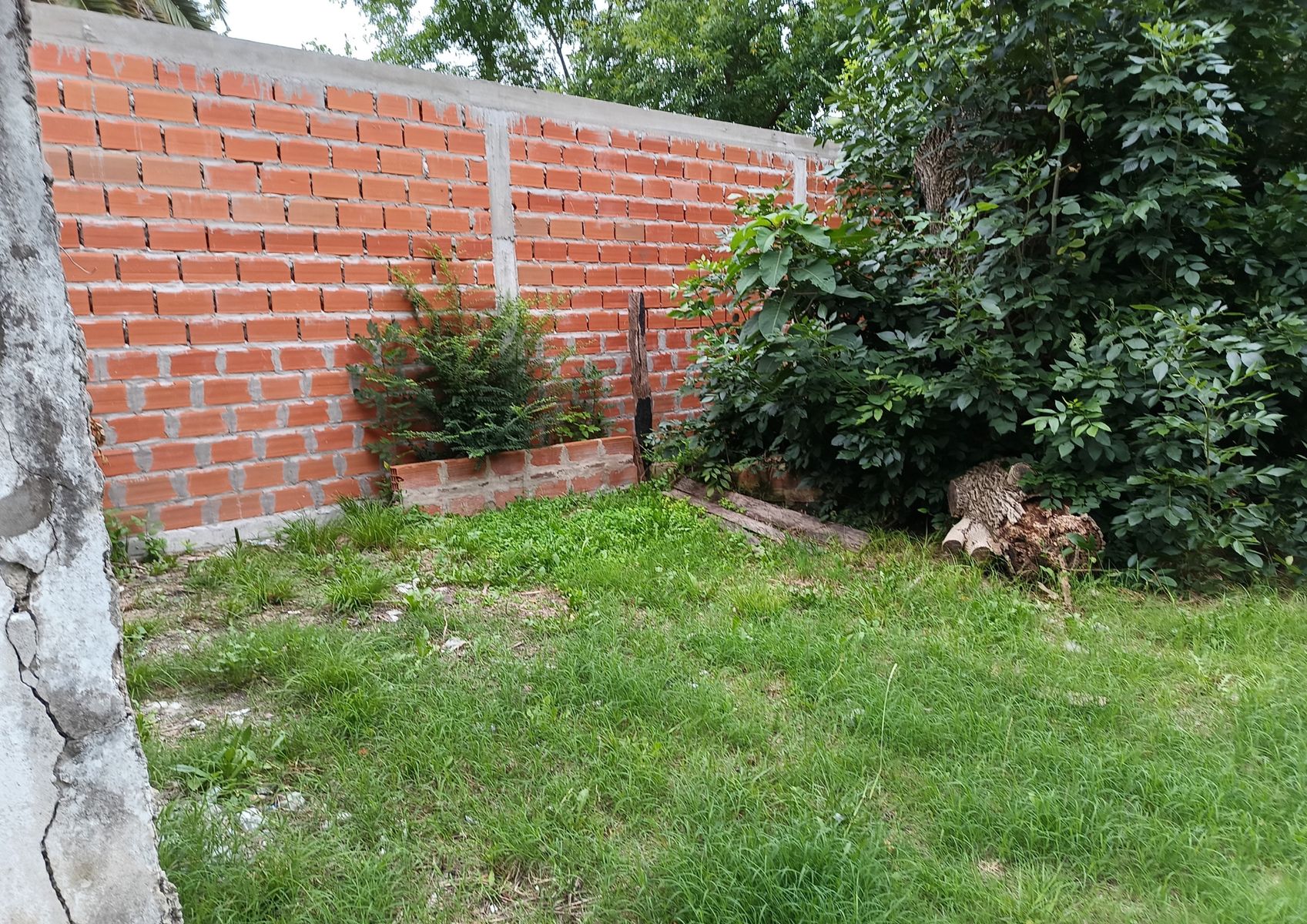Buzzo 1350 · Punta Indio — foto 11