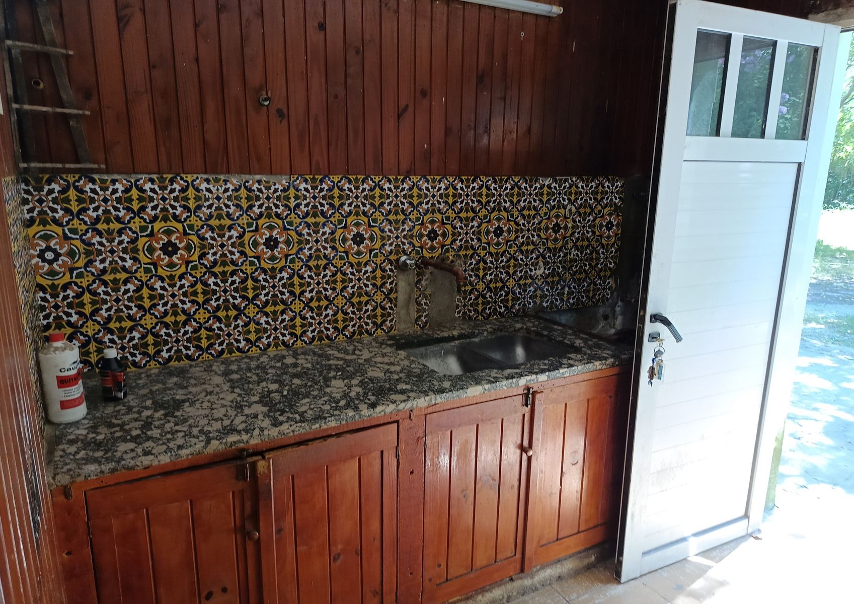 Buzzo 1350 · Punta Indio — foto 3
