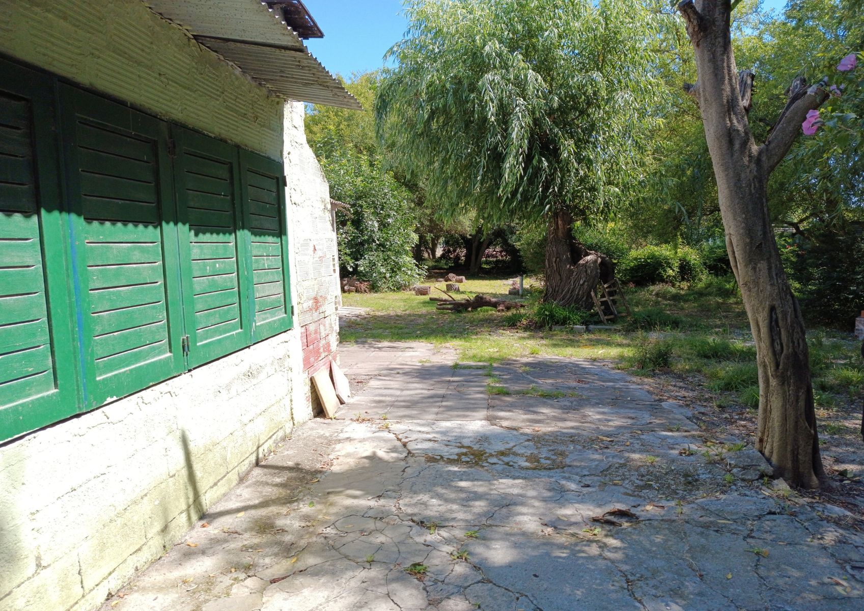 Buzzo 1350 · Punta Indio — foto 6