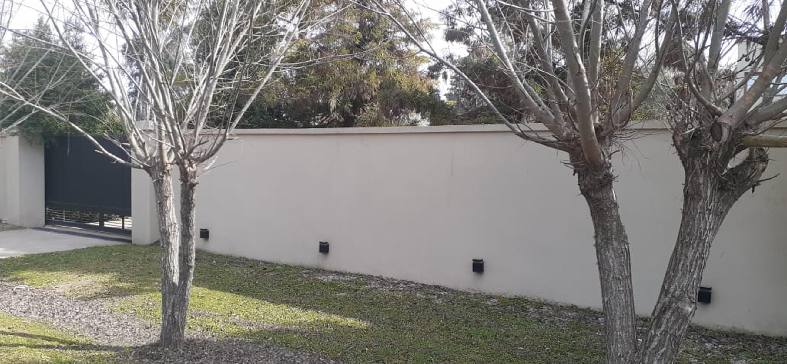 PEDERIVA · Baradero — foto 6
