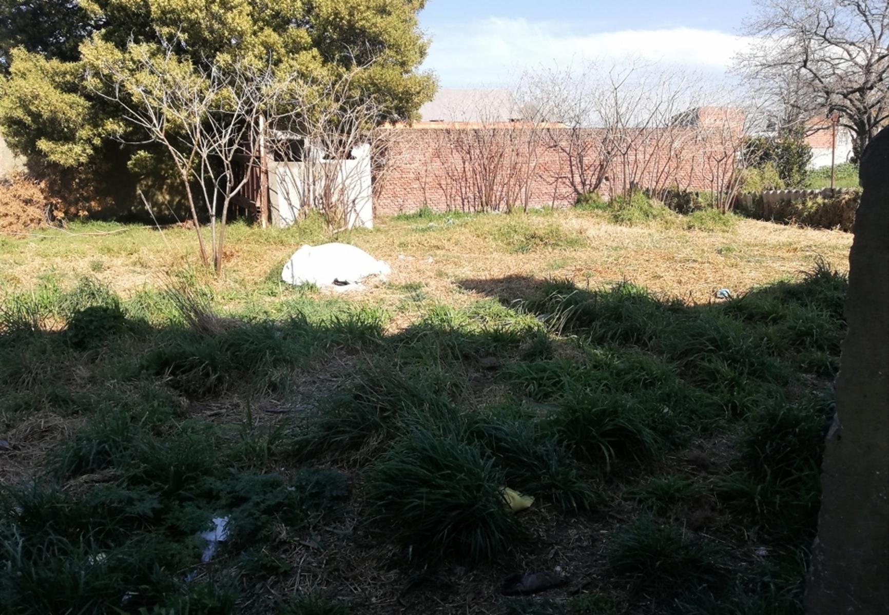 VENDO GALPON C/DEPTO (556 NRO 764) QUEQUEN · Necochea — foto 29