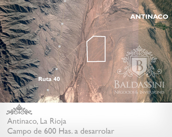 CAMPO DE 600 HAS. EN ANTINACO - DEPARTAMENTO DE FAMATINA - LA RIOJA - A DESARROLLAR - ZONA DE OLIVARES, VIÑEDOS, JATROPHA,  PISTACHIO, NOGALES.