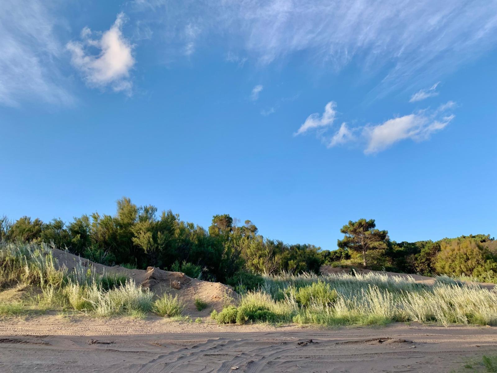 Yatasto y El Gavilán · Monte Hermoso — foto 3
