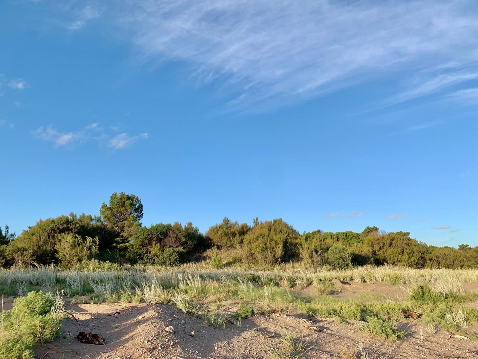 Yatasto y El Gavilán · Monte Hermoso — foto 4