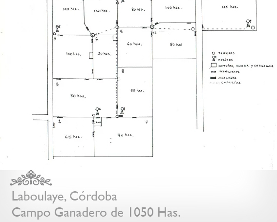 CAMPO GANADERO DE 1050 HAS. EN LABOULAYE - CÓRDOBA - 
