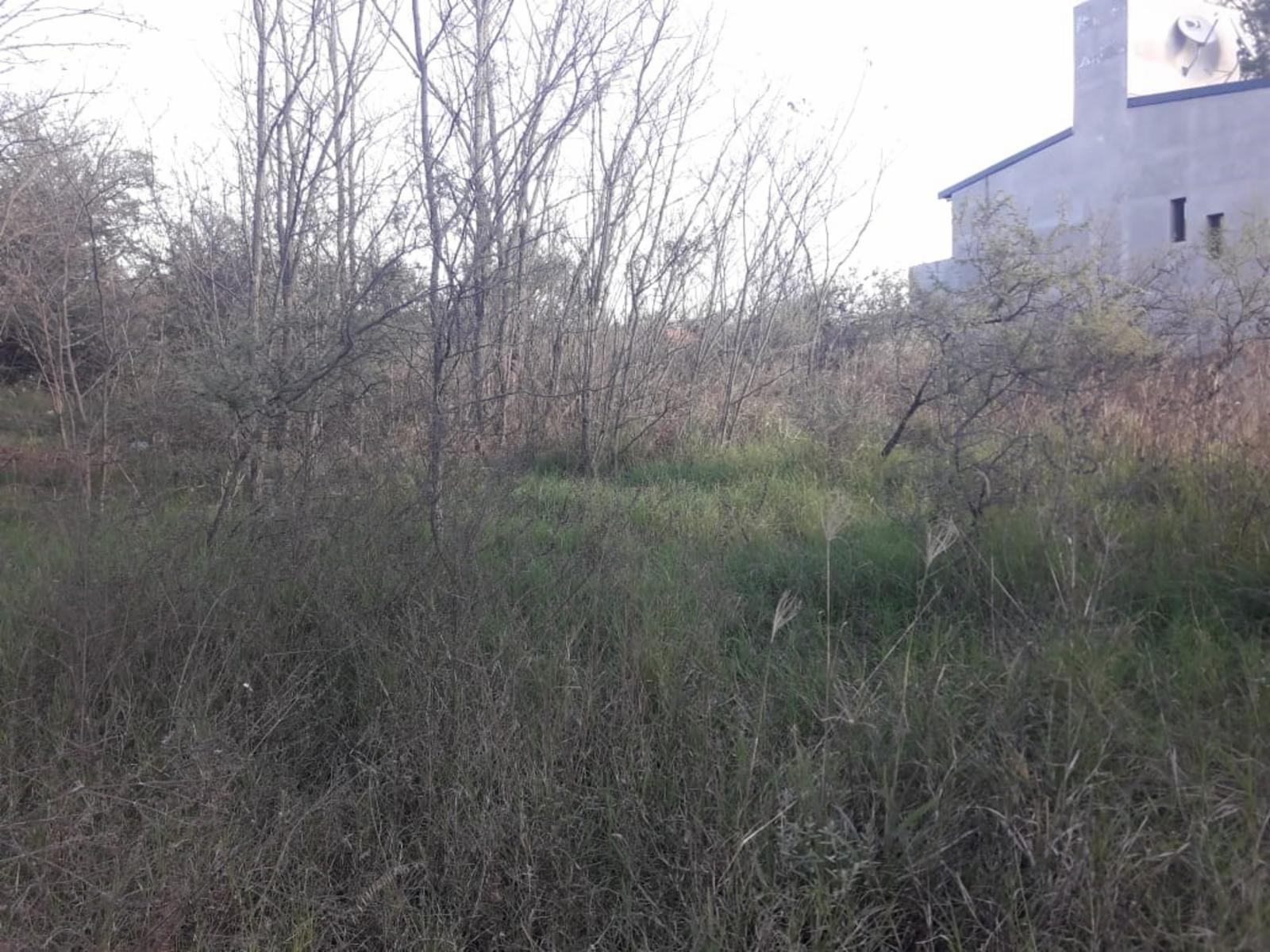 SAN ANTONIO DE ARREDONDO · Punilla — foto 5