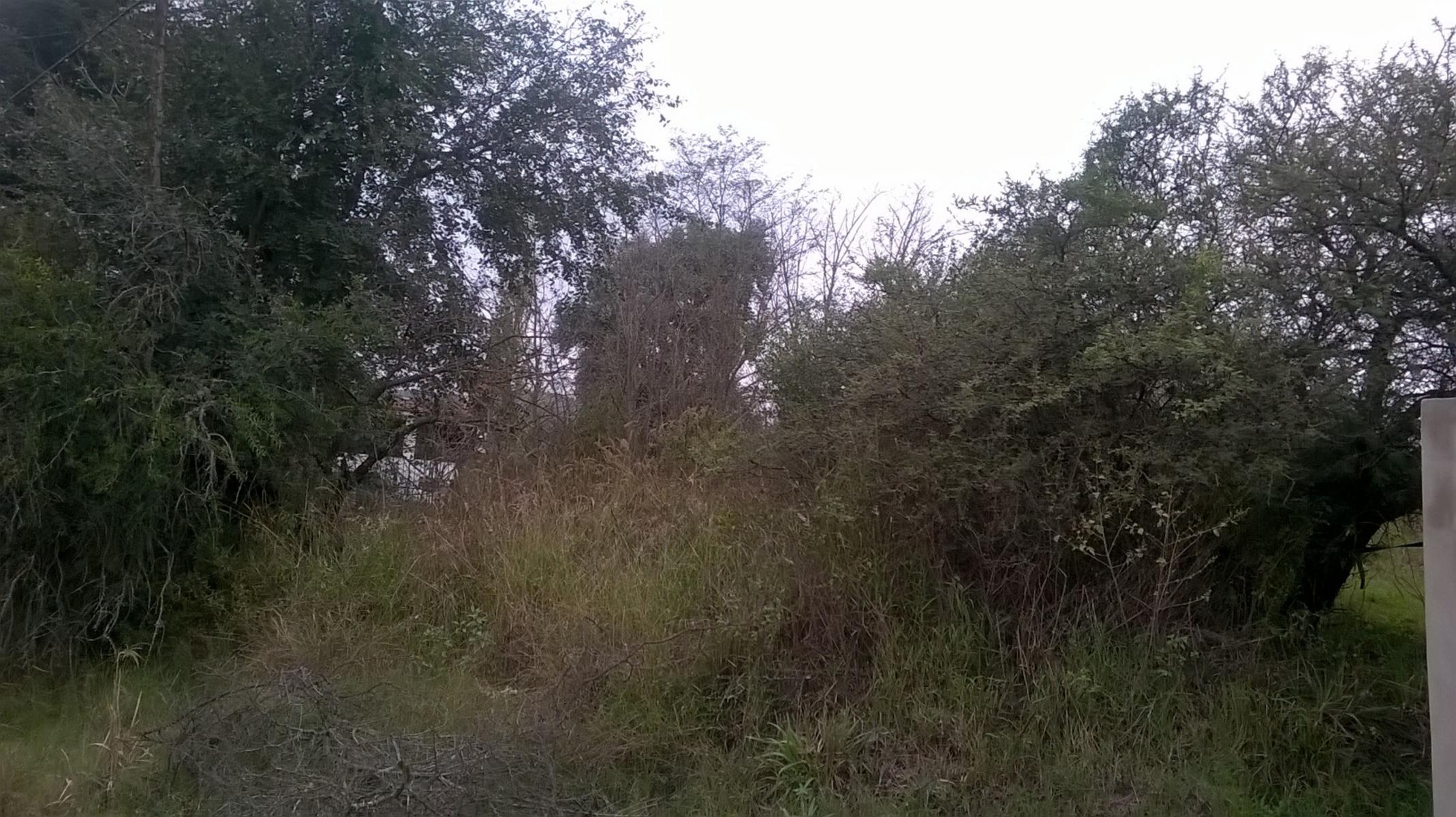 SAN ANTONIO DE ARREDONDO · Punilla — foto 8