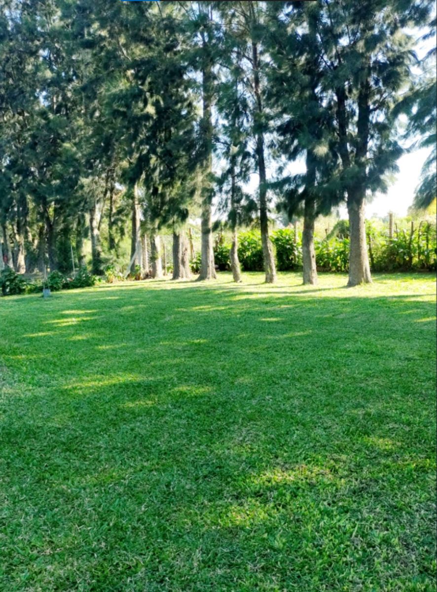 Los Arándanos · San Jerónimo — foto 3