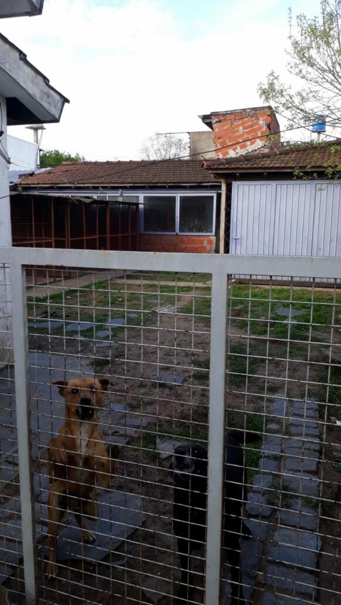 Dr. Felix Burgos 1200 · Morón — foto 4