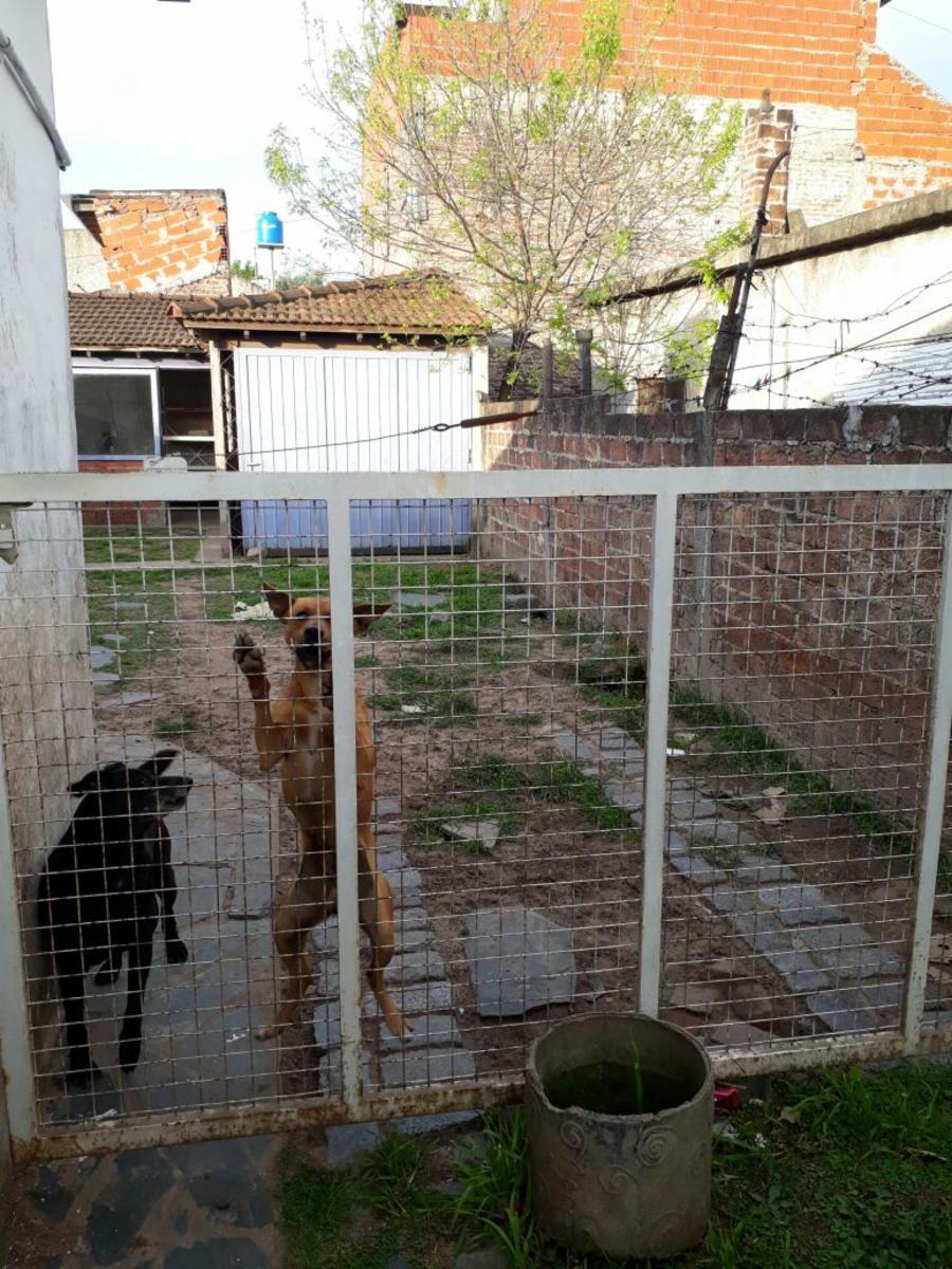 Dr. Felix Burgos 1200 · Morón — foto 9