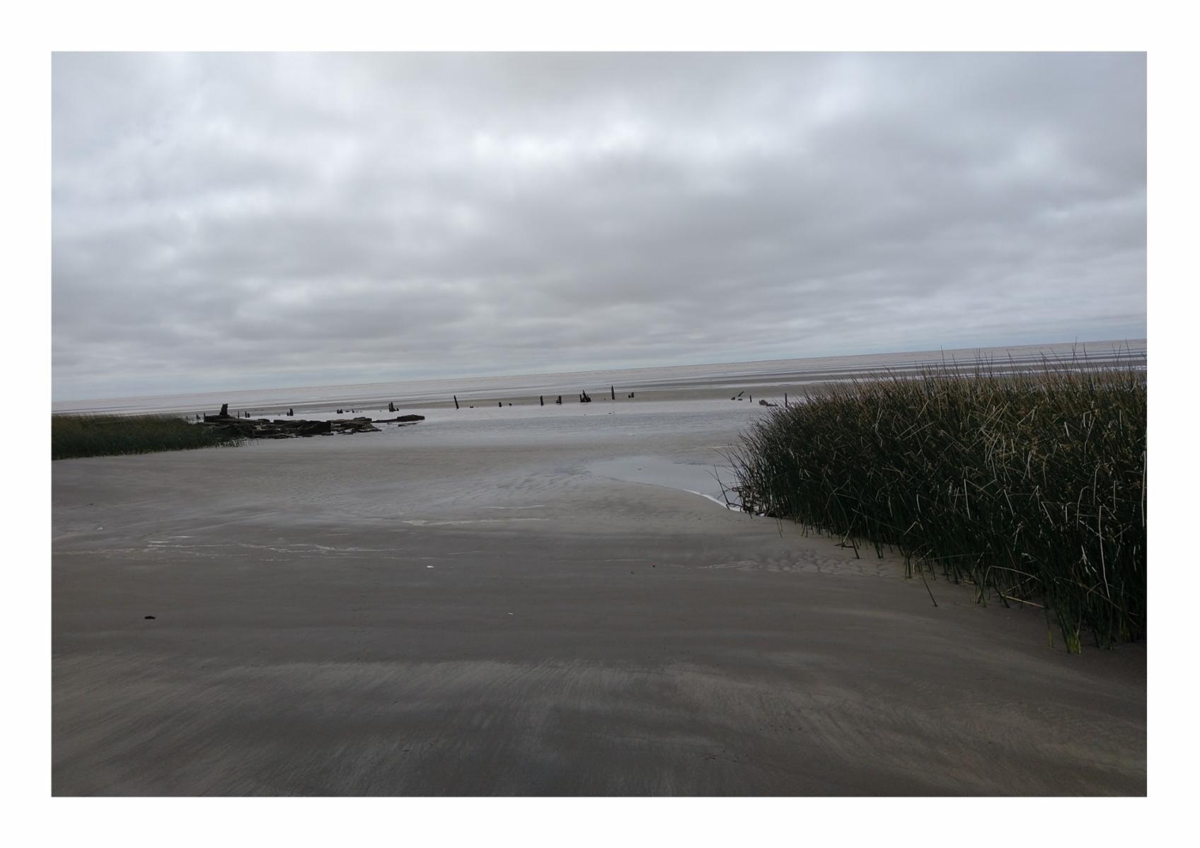 Avenida de La Rivera · Punta Indio — foto 4