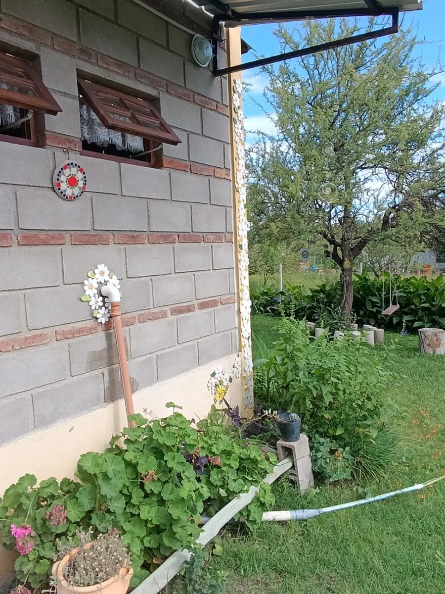 Júpiter · Santa María — foto 17