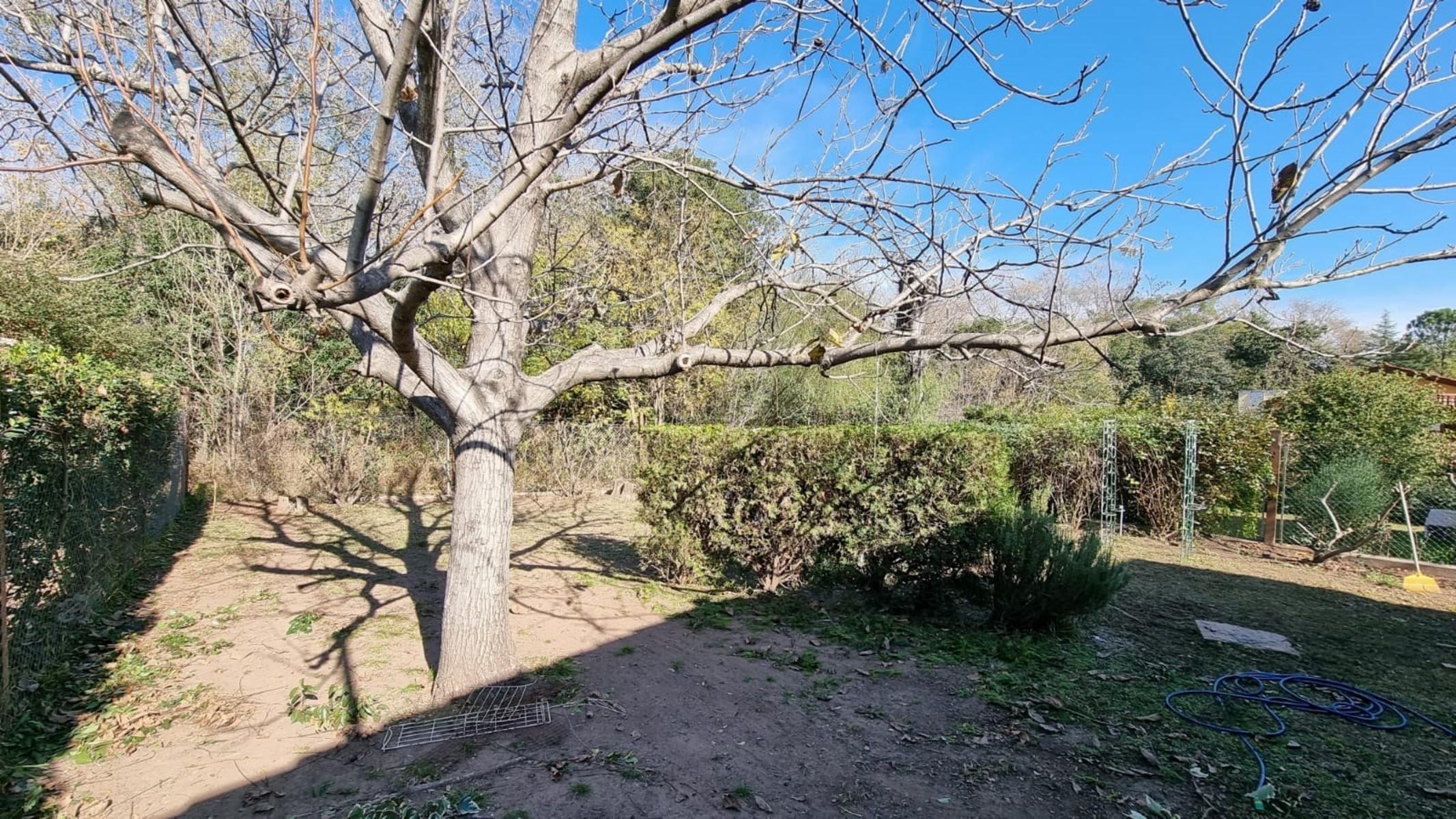 Los Pozos · Calamuchita — foto 6