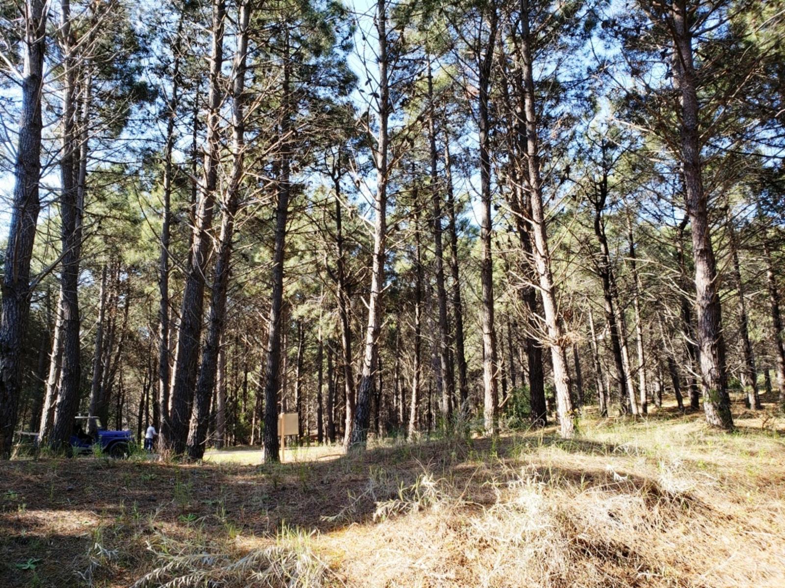 Bosque Alegre 900 · Monte Hermoso — foto 4