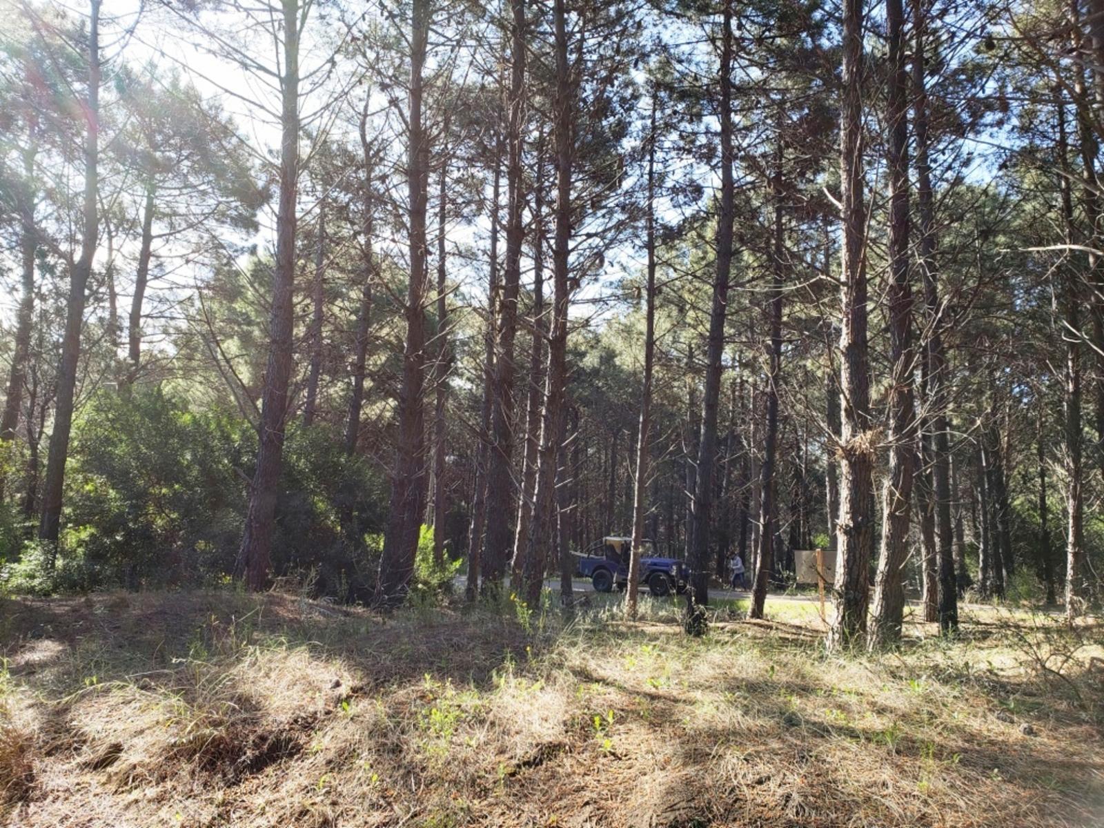 Bosque Alegre 900 · Monte Hermoso — foto 5