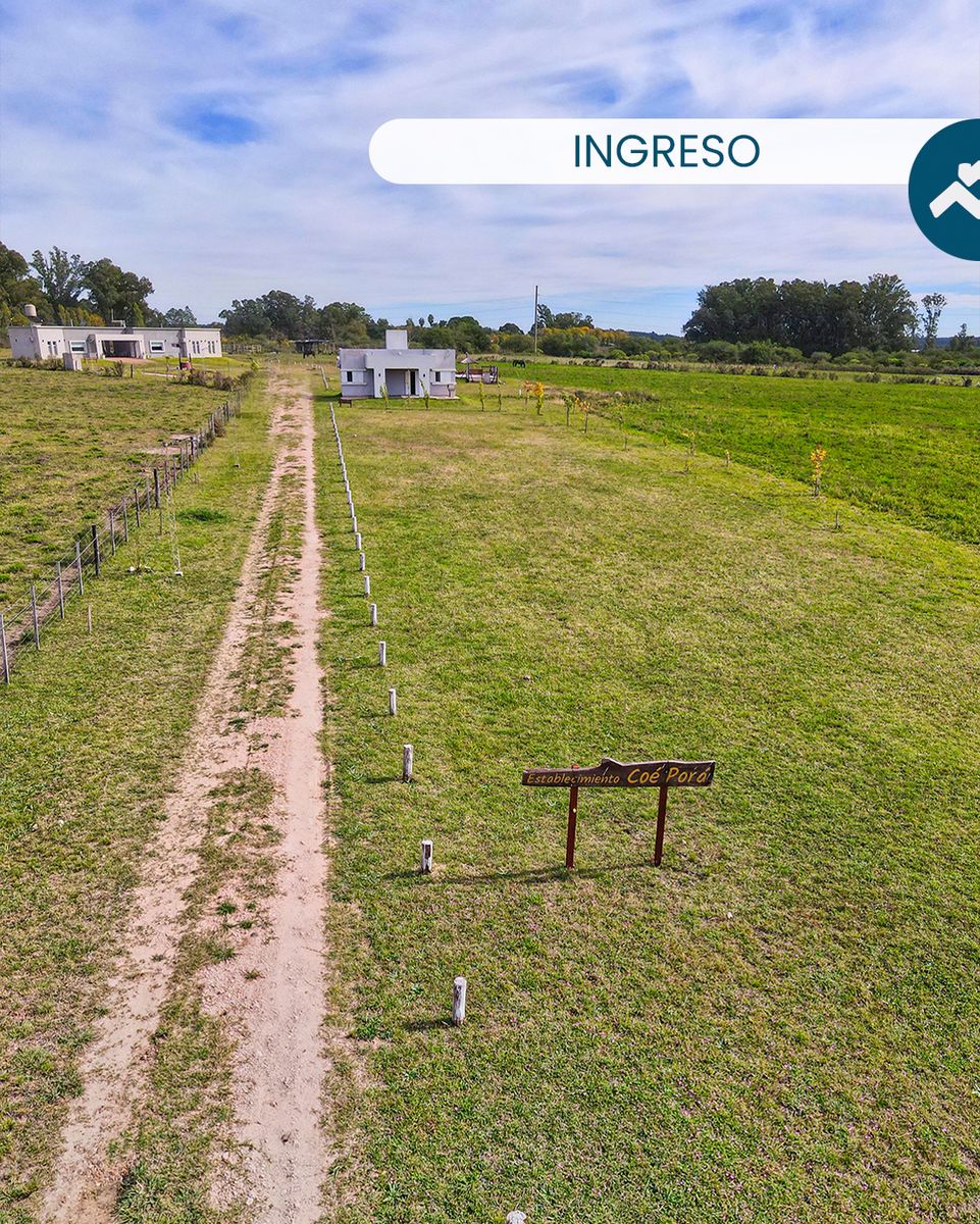 Autovía Ruta Nacional 14 · Colón — foto 4