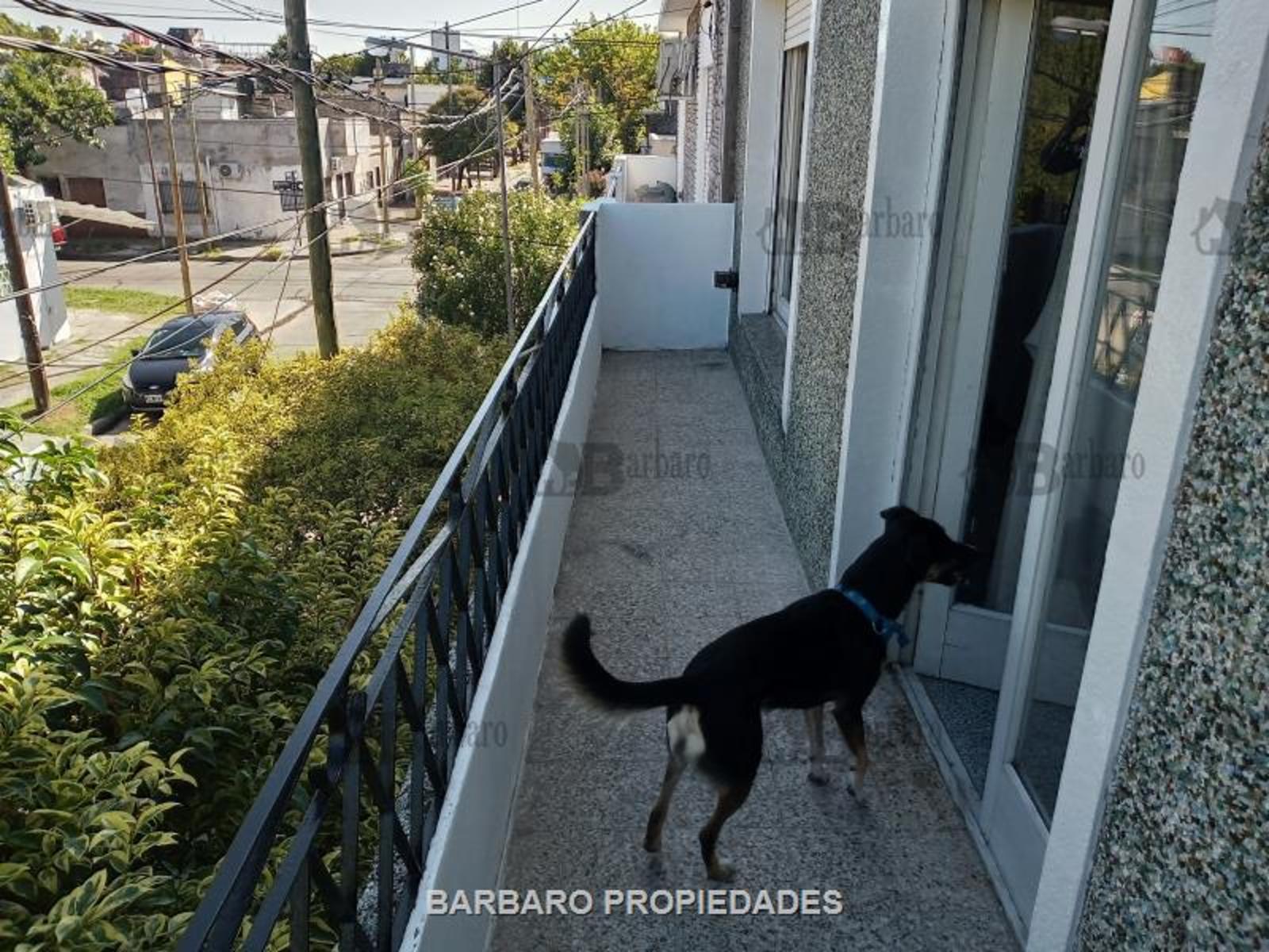 Libertad 4000, San Andres · San Martín — foto 5