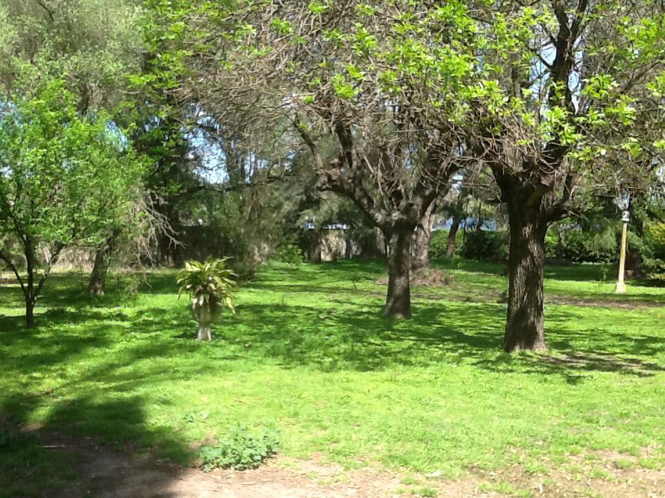 LOTES EN VENTA , PILAR , EXCELENTE UBICACIÓN. IDEAL INVERSORES