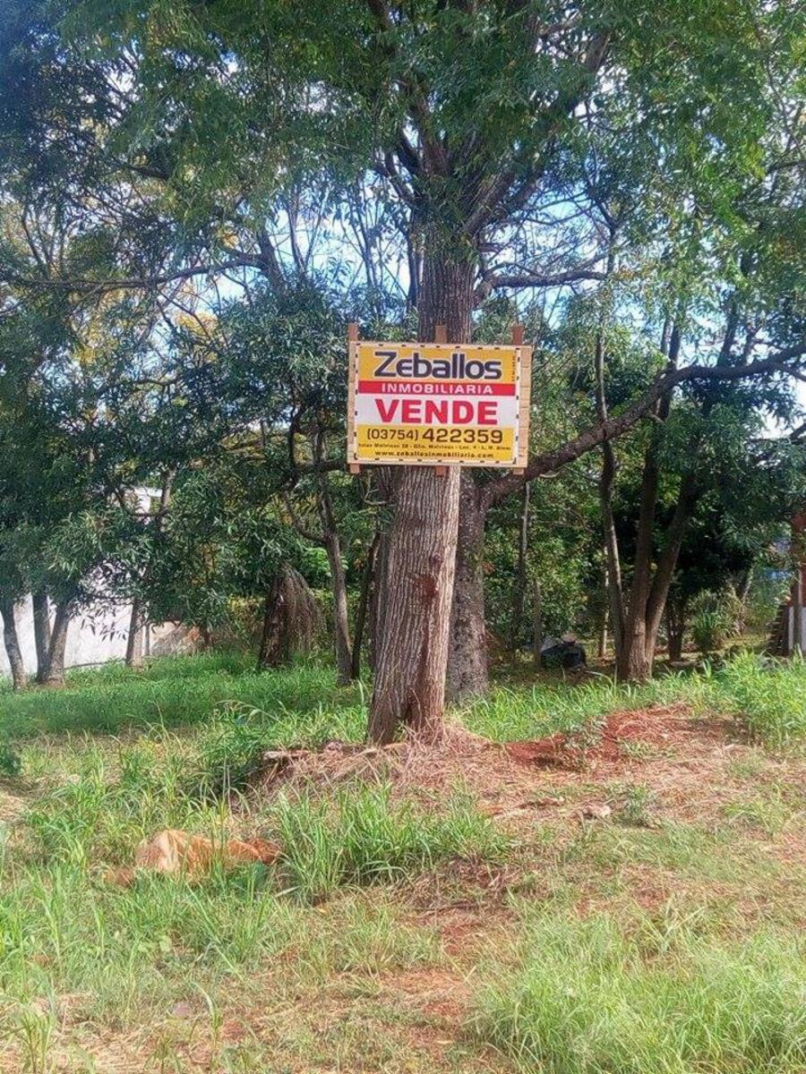 TERRENO HERMOSO A LA VENTA A MUY BUEN PRECIO · Leandro N. Alem — foto 3