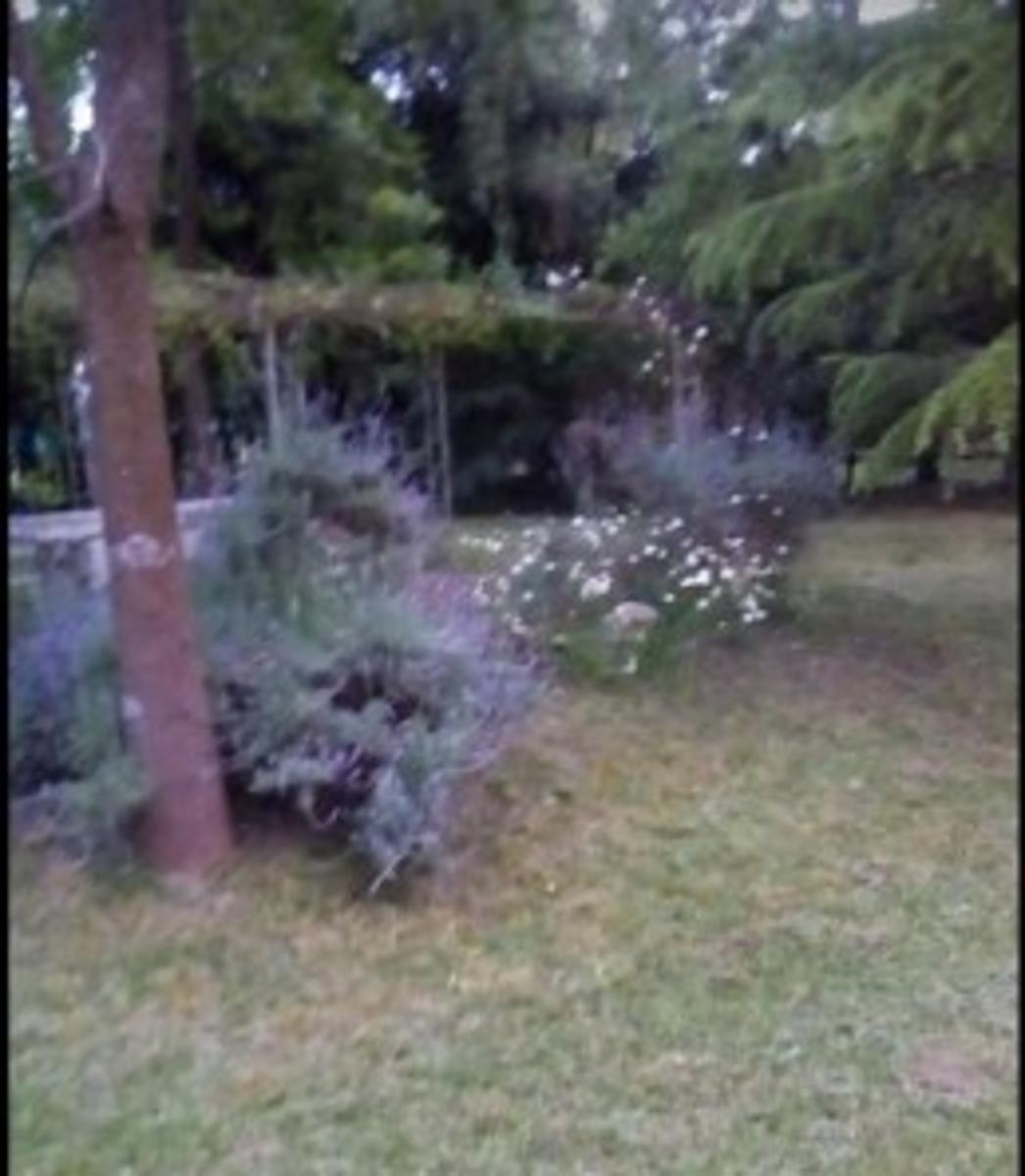 Bufano 4069 · Moreno — foto 3