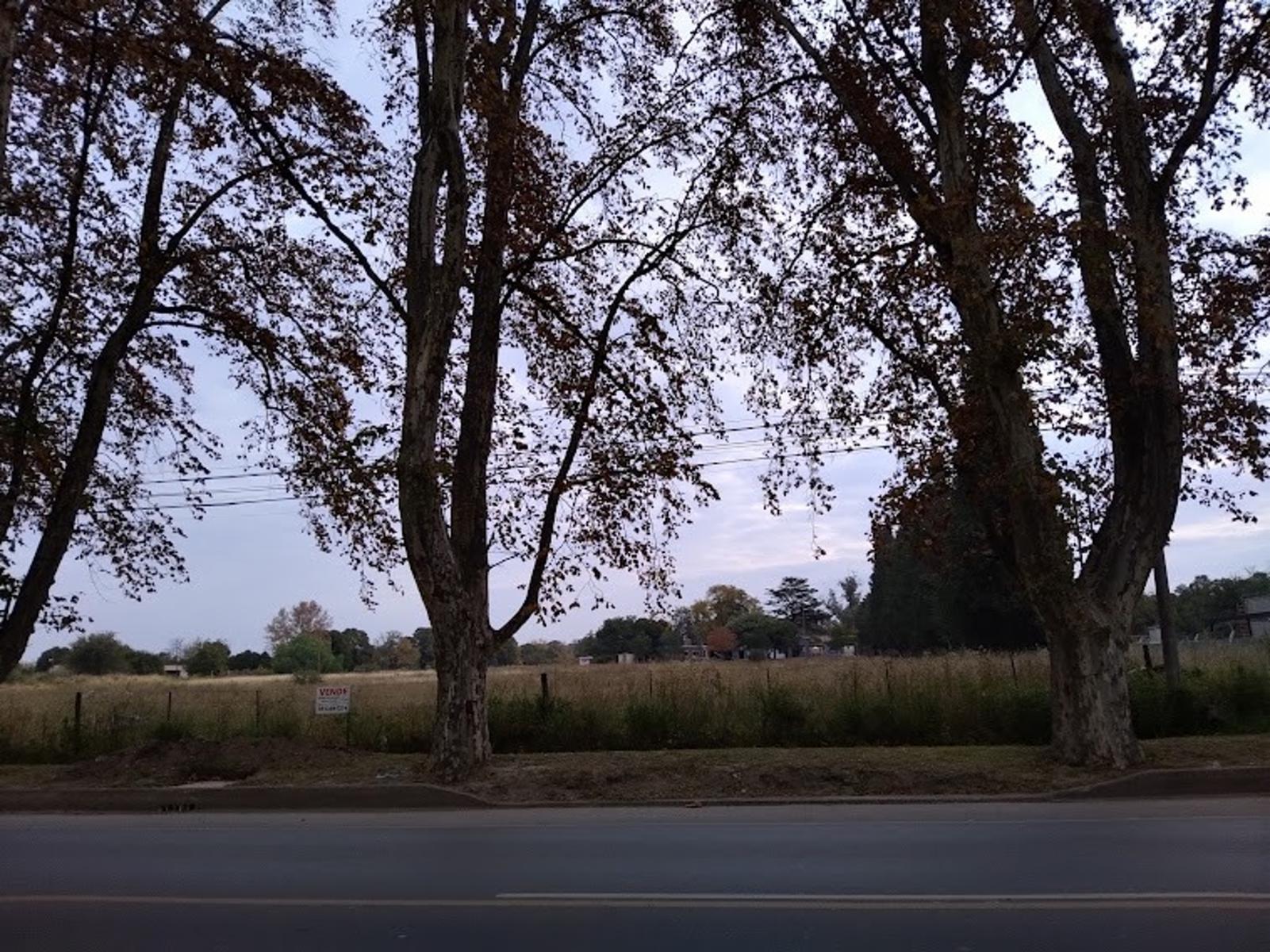 Av. San Martín 4.950 · Colón — foto 3