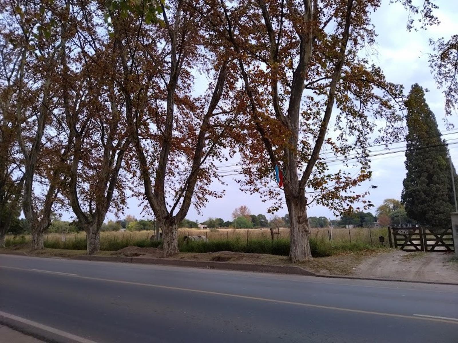 Av. San Martín 4.950 · Colón — foto 4