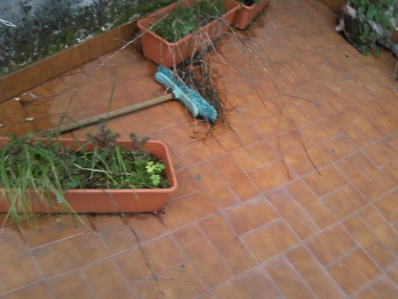 Rafael Obligado 12 · Almirante Brown — foto 16