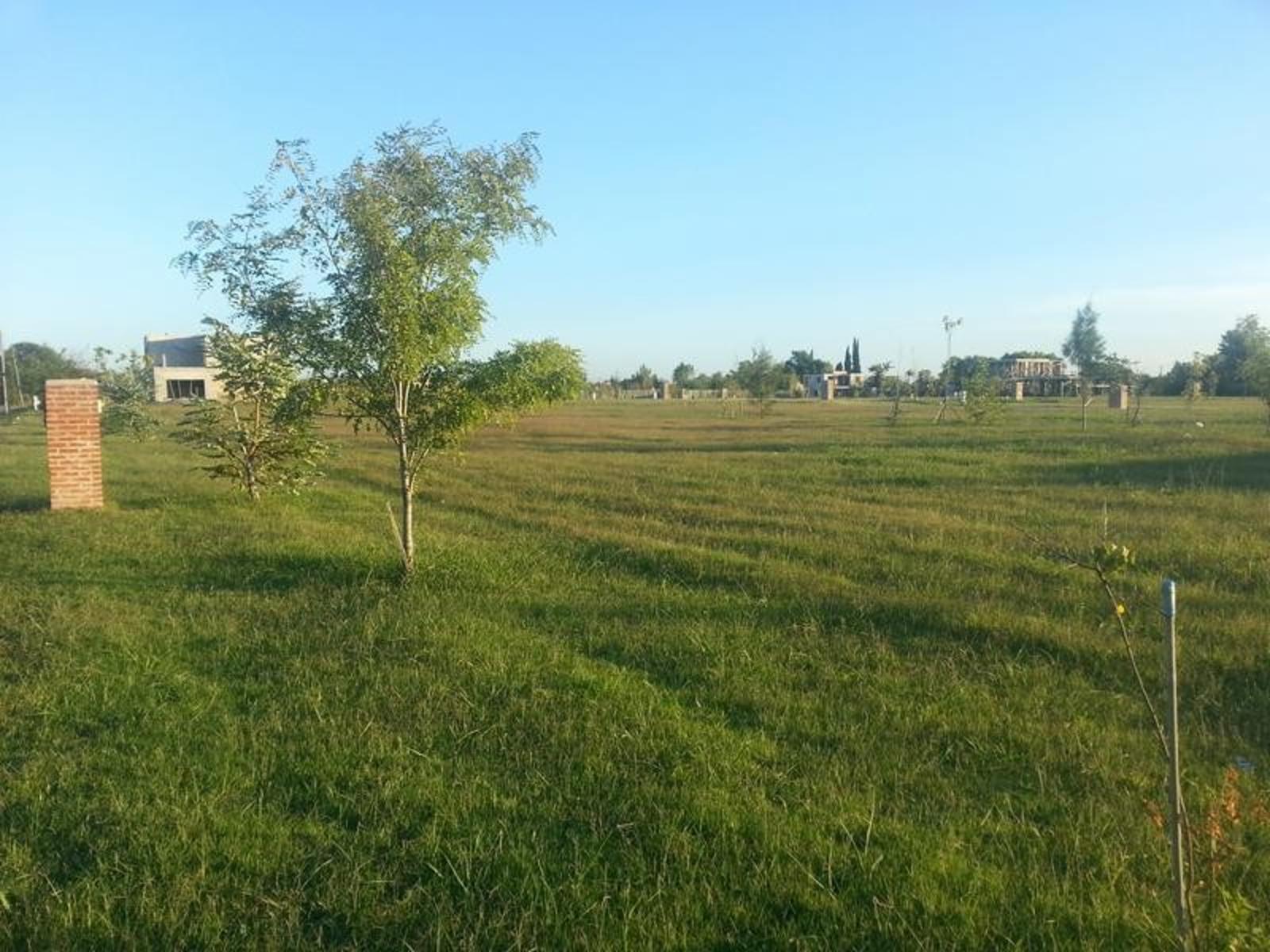 General Miguel Soler 590 · Almirante Brown — foto 17