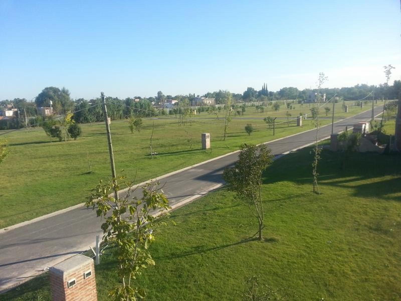 General Miguel Soler 590 · Almirante Brown — foto 3