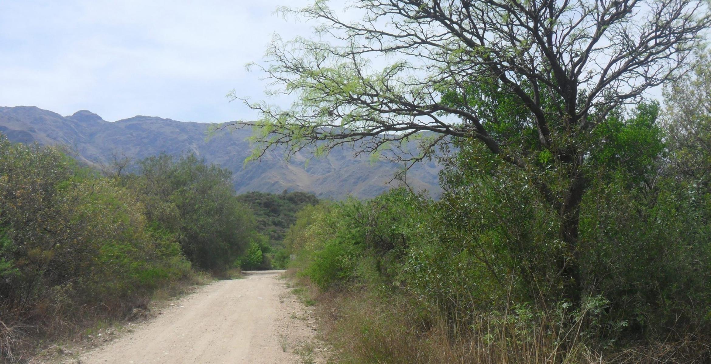 Piedra Blanca Arriba · Junín — foto 3