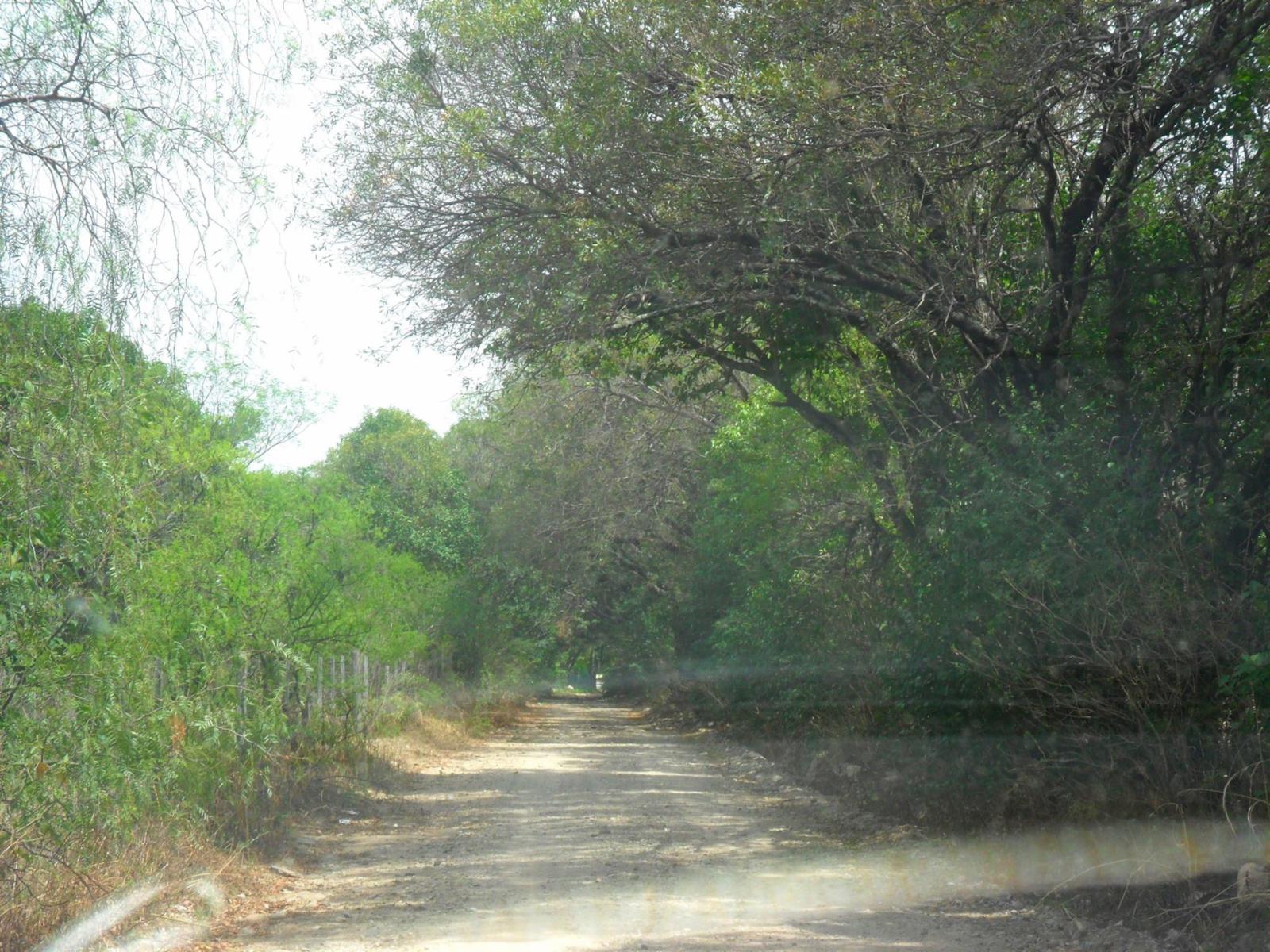 Piedra Blanca Arriba · Junín — foto 4