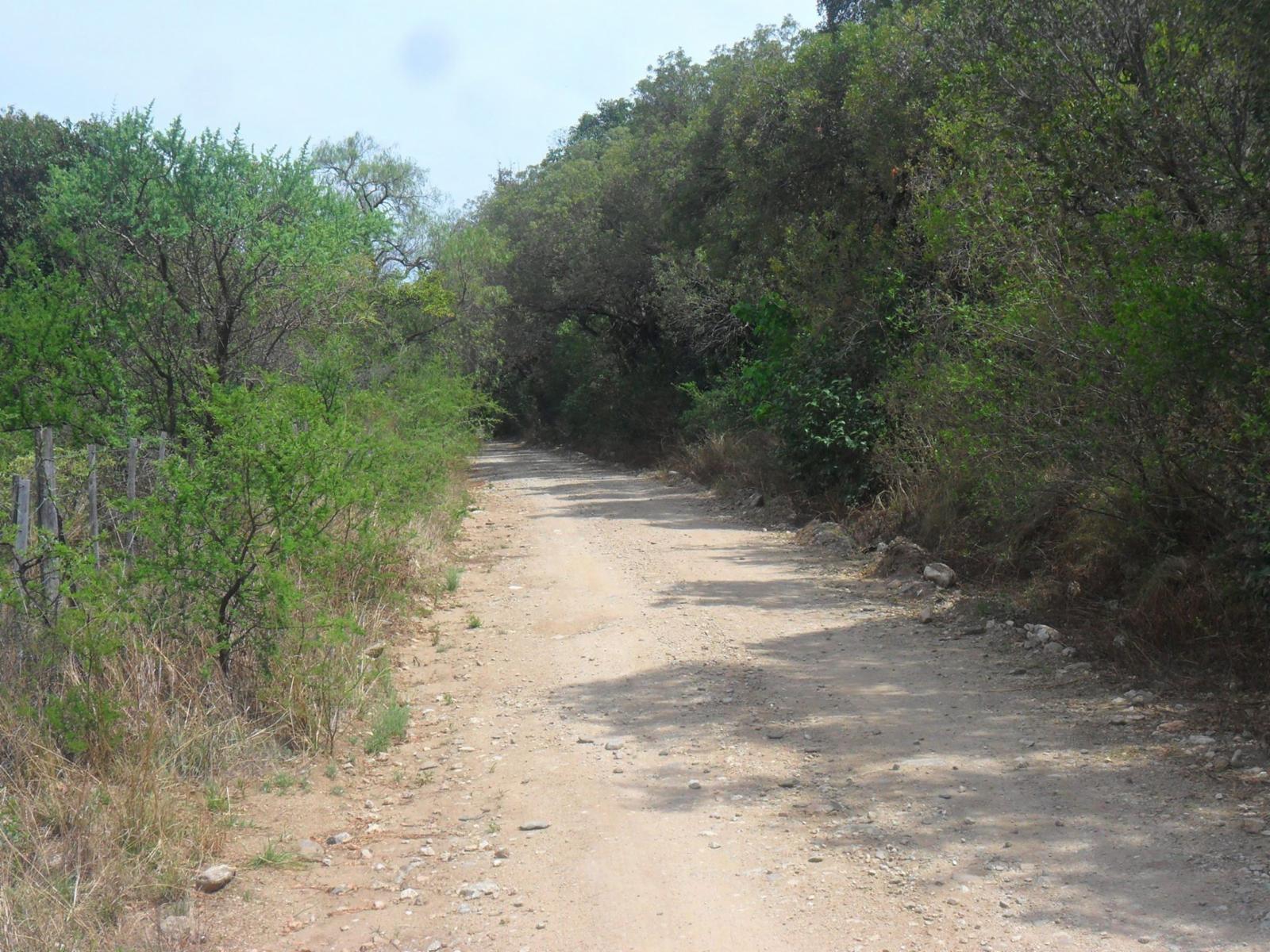 Piedra Blanca Arriba · Junín — foto 5